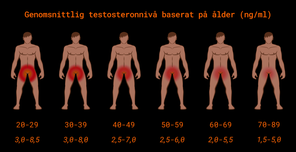 Testosteron - ålder